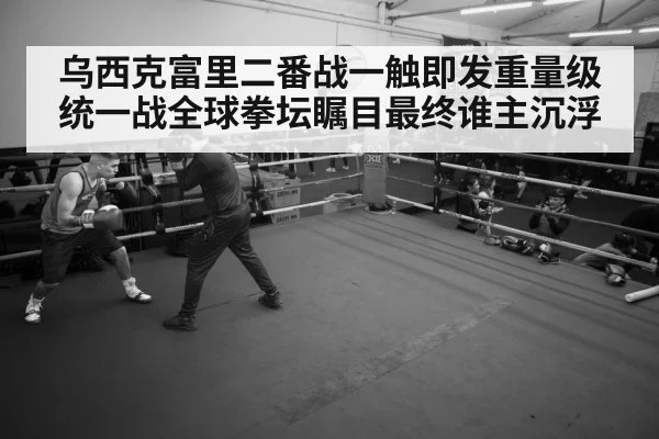 boxer training gym